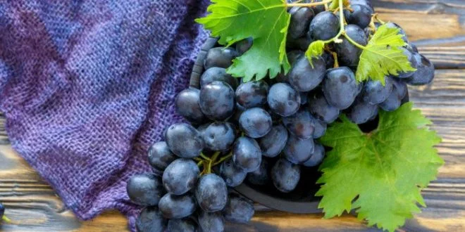 سفارش انگور سیاه