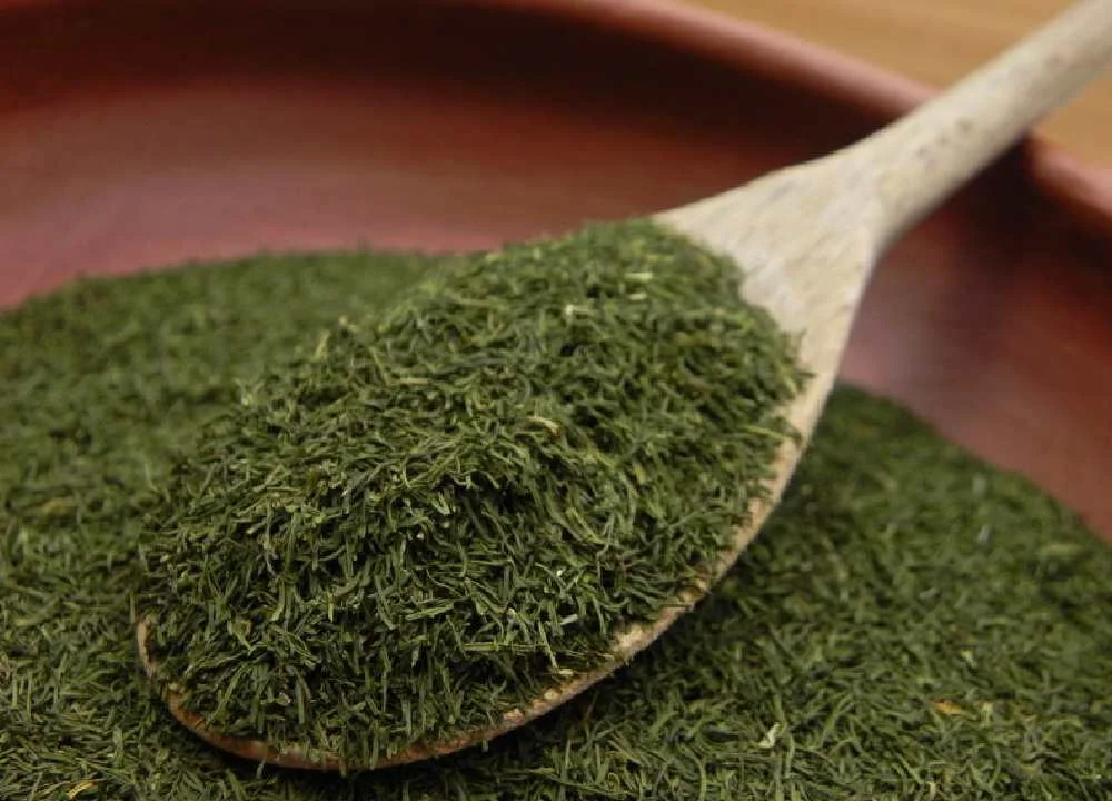 عرضه شوید خشک خانگی