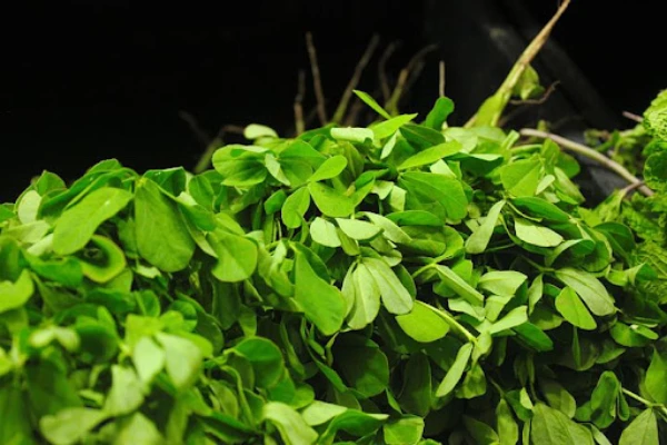خواص سبزی شنبلیله تازه
