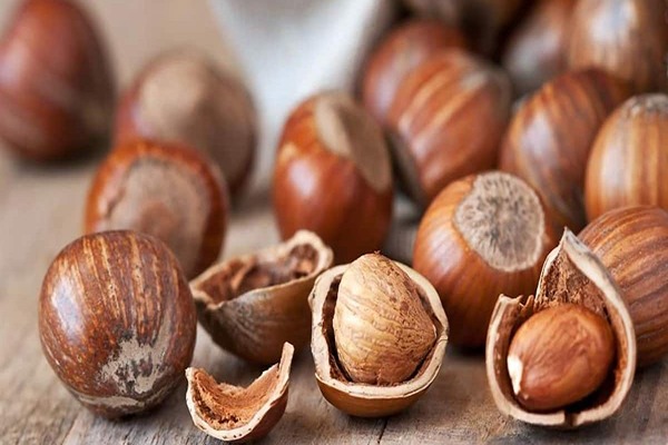 خواص فندق برای کبد چرب چیست؟
