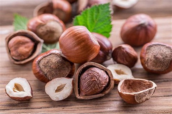 خواص فندق برای کبد چرب چیست؟