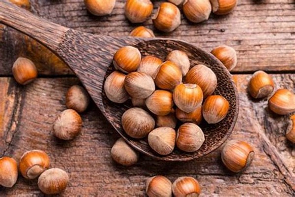 سفارش مغز فندق