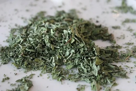 خواص شگفت‌انگیز ریحان خشک برای دندان