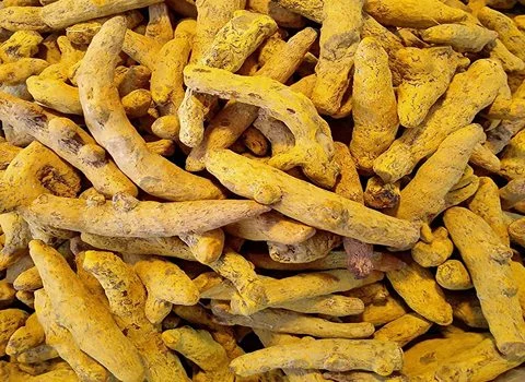 خرید عمده زردچوبه چهار منار