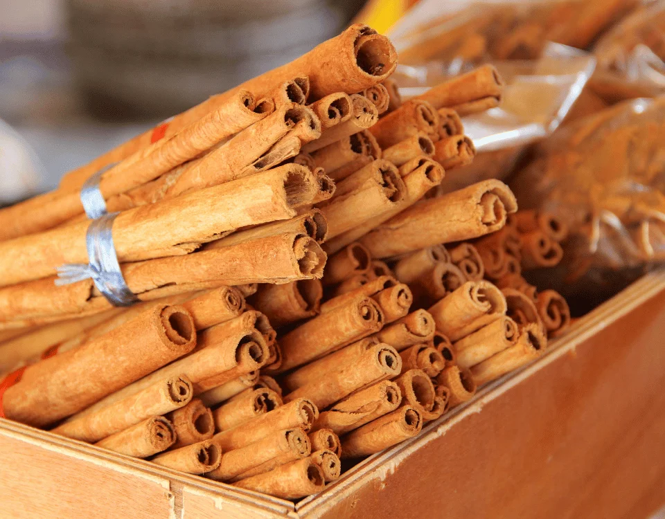 عرضه دارچین سیلان هندی