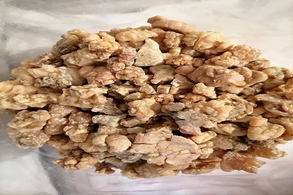 خواص شیره انغوزه برای مردان