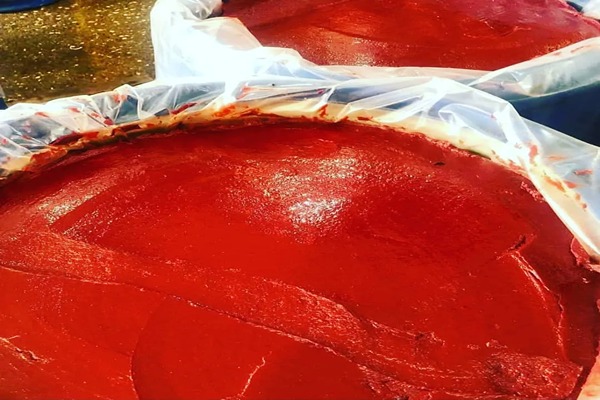 رب گوجه فرنگی اسپتیک