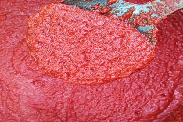 رب گوجه فرنگی اسپتیک