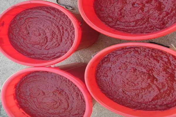 رب گوجه فرنگی اسپتیک