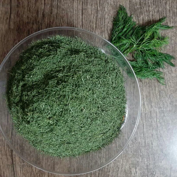 نسبت تبدیل شوید تازه به شوید خشک چقدر است