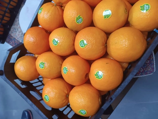 قیمت پرتقال تامسون در بازار تهران