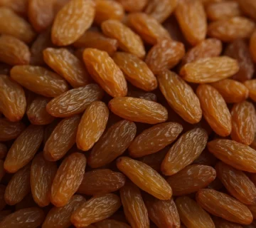 خرید کشمش تیزابی