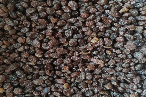 کشمش افتابی بدون هسته